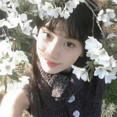 校园秘密档案